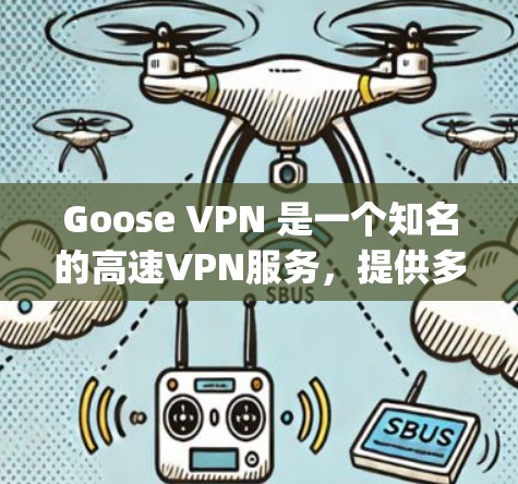Goose VPN 是一个知名的高速VPN服务，提供多种VPN选项，包括 OpenVPN 和 VPN。以下是Goose VPN 的官网下载链接和一些高速VPN软件的下载链接