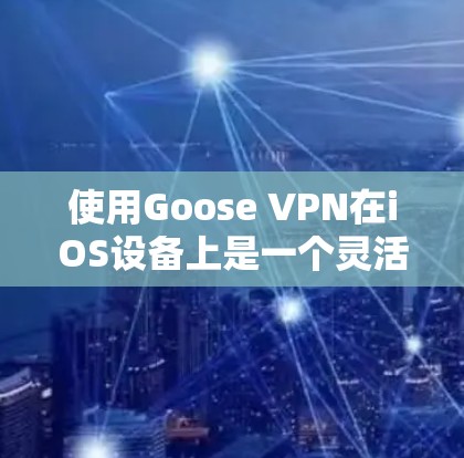 使用Goose VPN在iOS设备上是一个灵活且强大的网络VPN工具,适合需要复杂配置的用户。以下是具体的步骤和建议