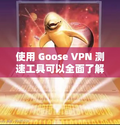 使用 Goose VPN 测速工具可以全面了解网络的状况，包括连接速度、延迟、稳定性等。以下是使用步骤和注意事项的总结