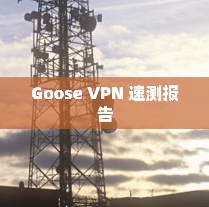 Goose VPN 速测报告