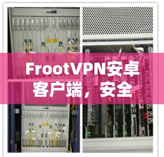 FrootVPN安卓客户端，安全可靠，轻松连接