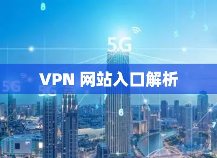 VPN 网站入口解析