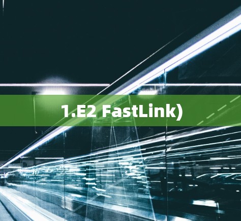 1.E2 FastLink)