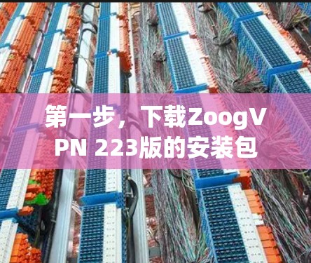 第一步,下载ZoogVPN 223版的安装包