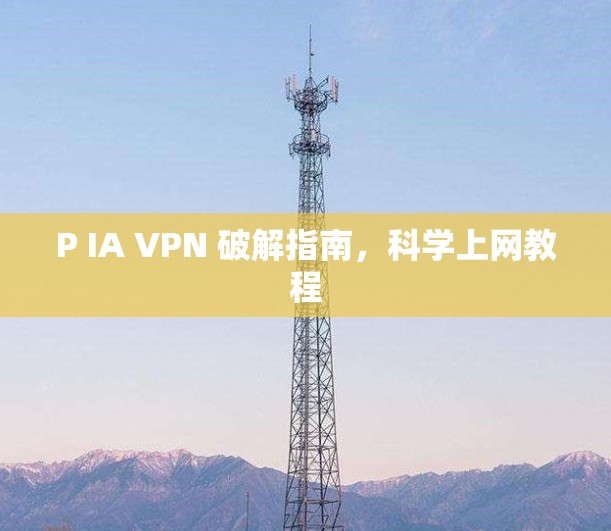 P IA VPN 破解指南,科学上网教程