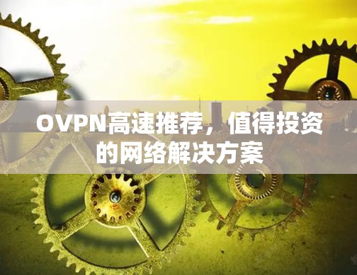 OVPN高速推荐,值得投资的网络解决方案