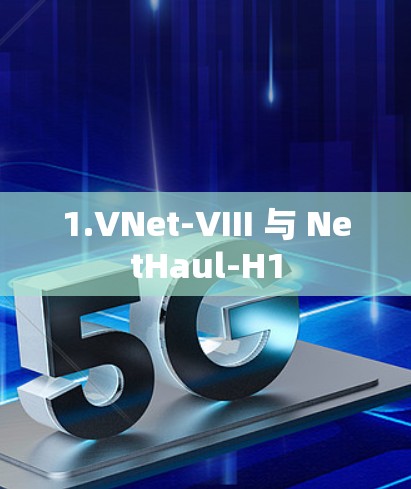 1.VNet-VIII 与 NetHaul-H1