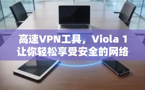 高速VPN工具,Viola 1让你轻松享受安全的网络体验