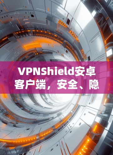 VPNShield安卓客户端,安全、隐私与便捷的网络守护者
