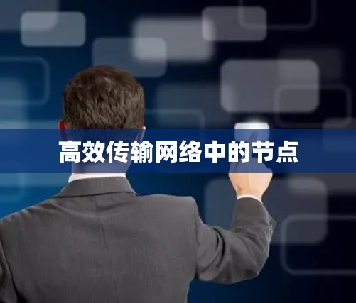 高效传输网络中的节点