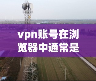 vpn账号在浏览器中通常是通过以下步骤设置的